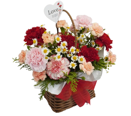 어버이날 카네이션